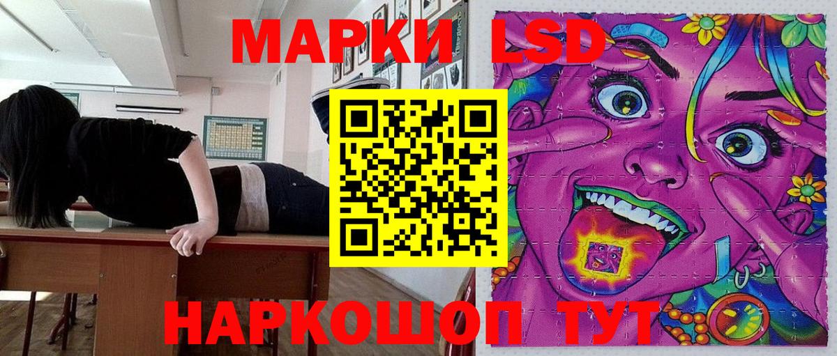 Марки N-bome 1,8мг Лесной