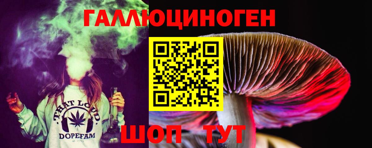 Галлюциногенные грибы Psilocybine cubensis Лесной